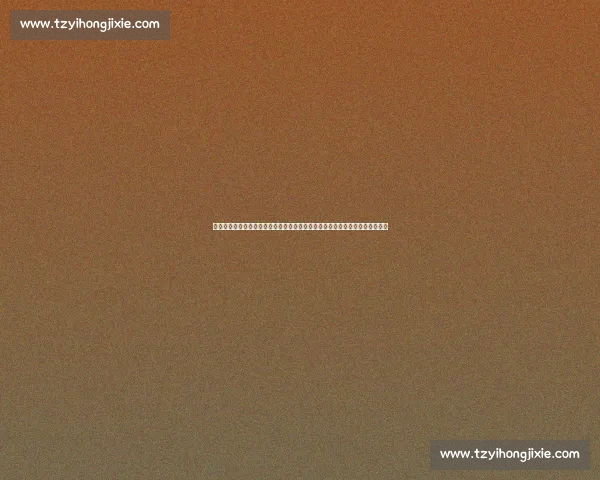 师大对阵工大巅峰较量青春实力与荣耀之战全景解析校园风云再起赛场焦点观察