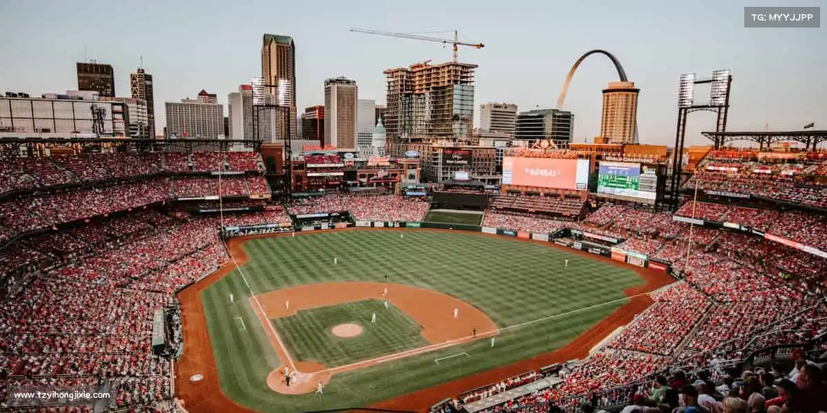 为什么选择我们